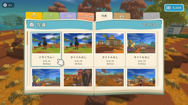 Dinkum 写真撮影 カメラ 保存