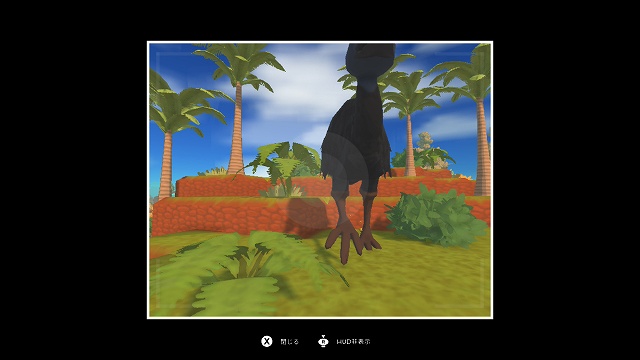 Dinkum 写真 撮影 カメラ