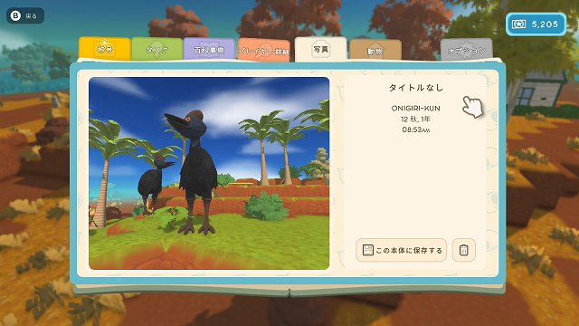 Dinkum ディンカム 写真リクエスト 写真撮影