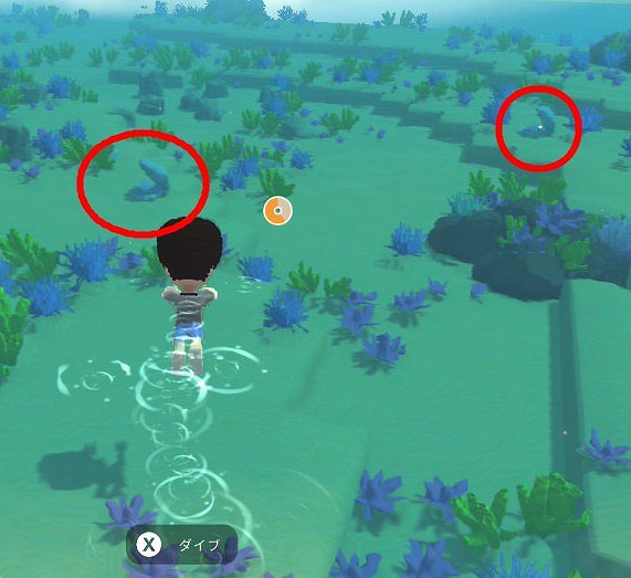 ディンカム　真珠　