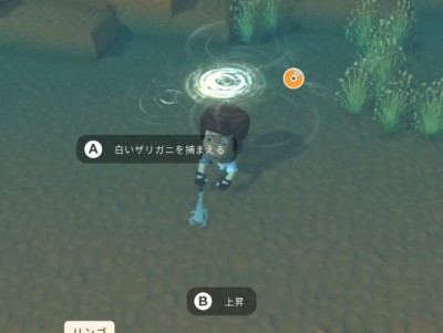 ディンカム クリッター 捕まえ方