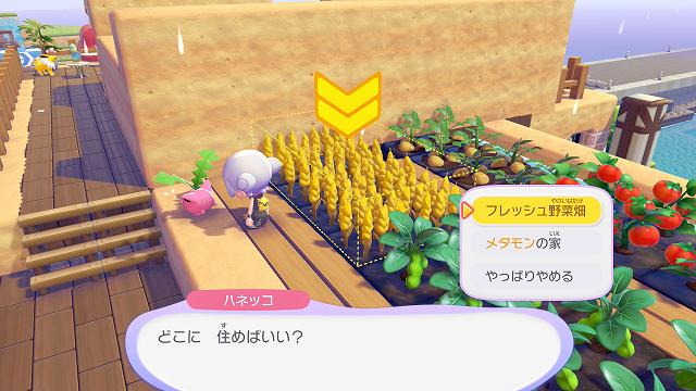 ぽこあポケモン ハネッコの探し方 の画像